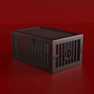 BDSM Furniture，Roomfun Prisoner's Cage (1)