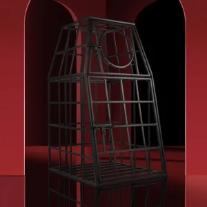 BDSM Furniture，Taming cage (1)