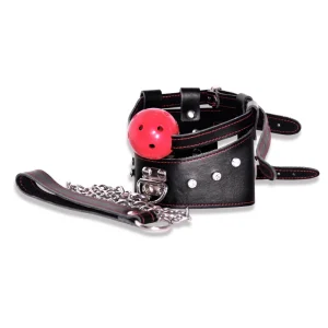 BDSM Leash，Collared Bondage (11)