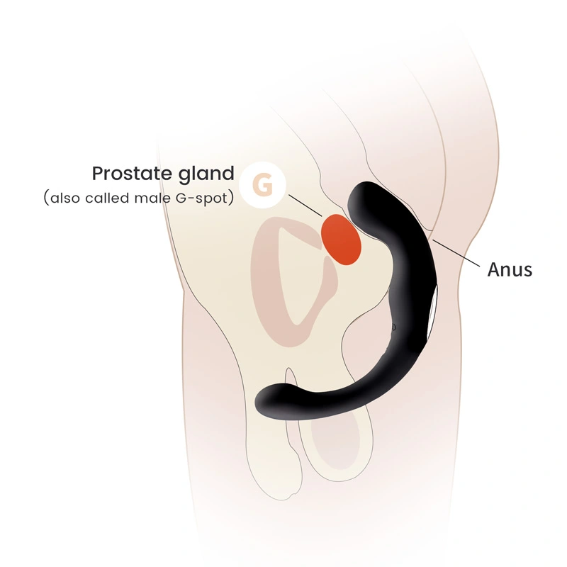 Prostate Vibrator，Anal Vibrator (3)