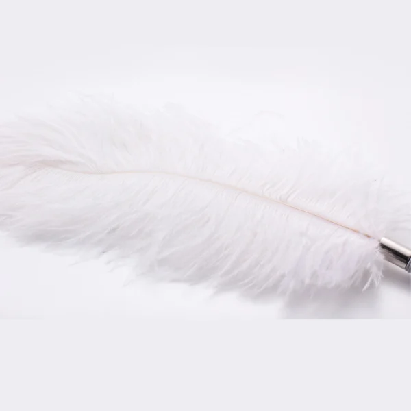 BDSM，BDSM Toys，BDSM Sex Toys，QS-019 Tease feathers (5)