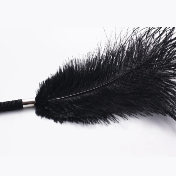 BDSM，BDSM Toys，BDSM Sex Toys，QS-019 Tease feathers (6)