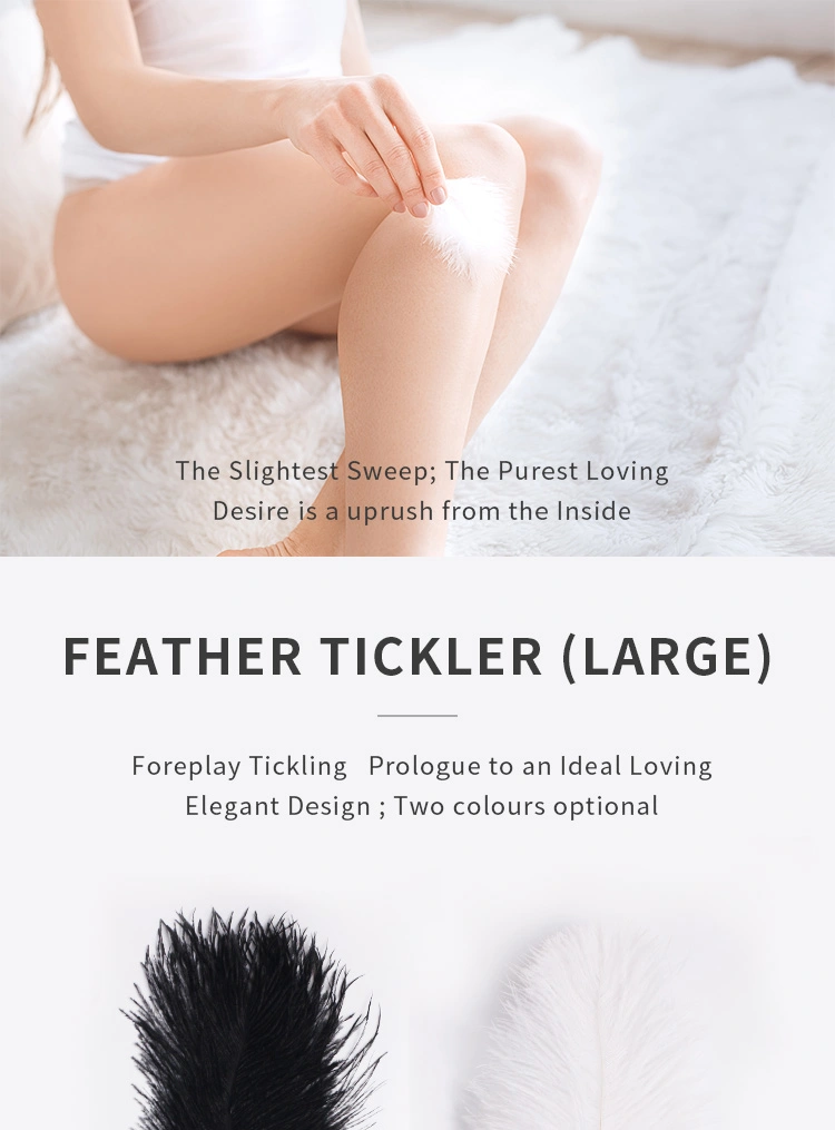 BDSM，BDSM Toys，BDSM Sex Toys，QS-019 Tease feathers describe (1)