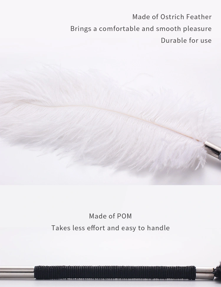 BDSM，BDSM Toys，BDSM Sex Toys，QS-019 Tease feathers describe (3)