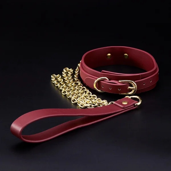 BDSM，BDSM Toys，BDSM Sex Toys，ZW-094 Collar (3)