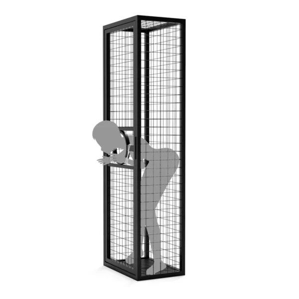 Bondage Furniture，Prisoner's Cage Standing Cage (3)