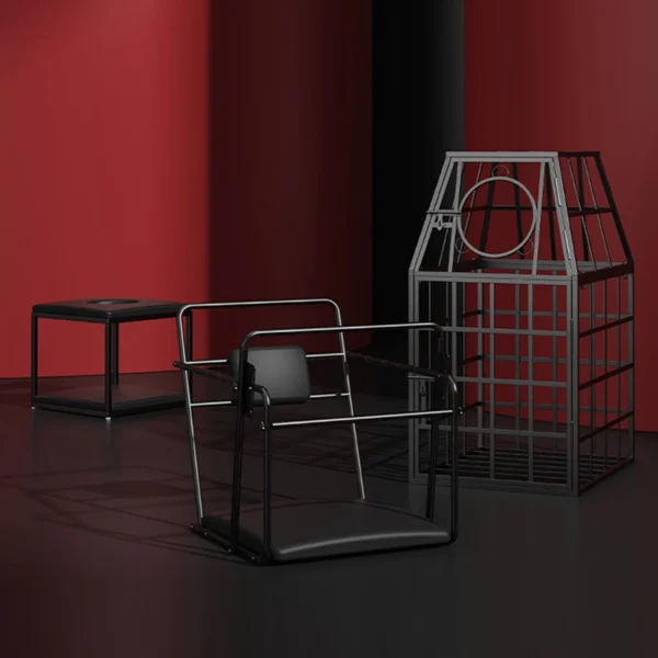 Bondage Furniture，Taming cage (8)