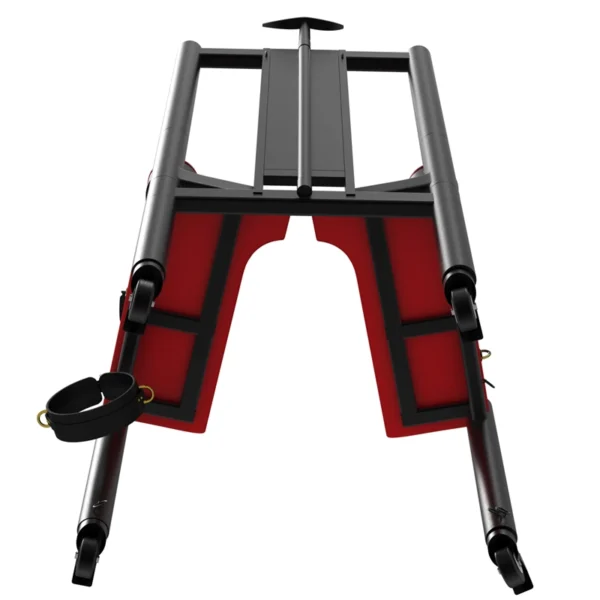 Bondage Furniture，ZW-049 Torture Chair (13)