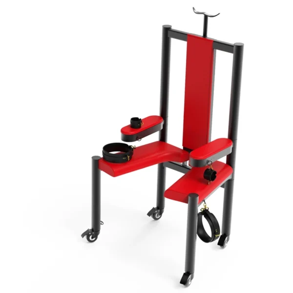 Bondage Furniture，ZW-049 Torture Chair (14)