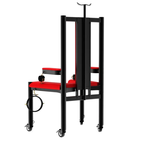 Bondage Furniture，ZW-049 Torture Chair (16)