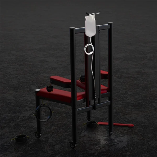 Bondage Furniture，ZW-049 Torture Chair (17)