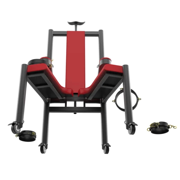 Bondage Furniture，ZW-049 Torture Chair (18)