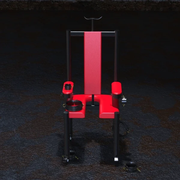 Bondage Furniture，ZW-049 Torture Chair (5)