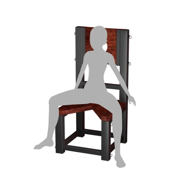 Bondage Furniture，ZW-102 Torture Chair (9)