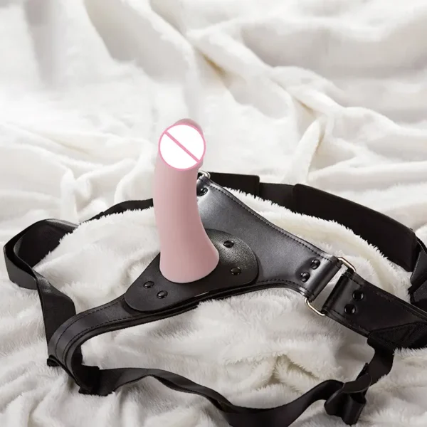 Dildos，CH-002 strap ons dildo without function (1)